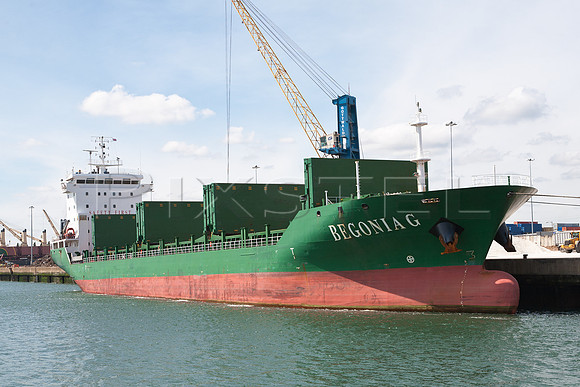 Bulker 'Begonia G'