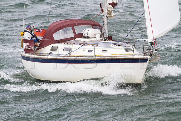 Wings of Hamble