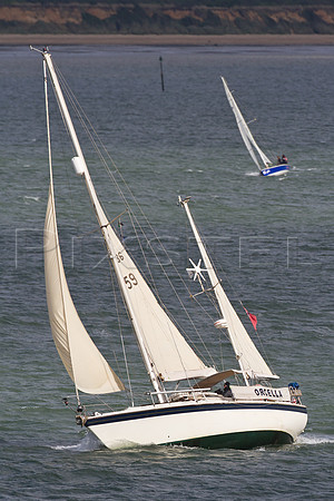 Conway 36 'Orcella'