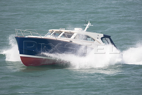 Oyster 'Screaming Eagle'