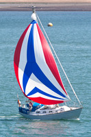 Raven of Hamble