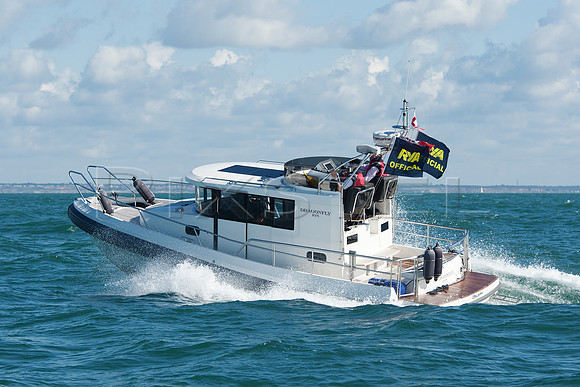 Paragon 31 'Dragonfly'