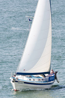 Westerly Discus 33