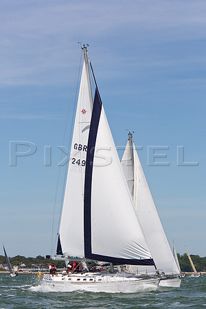 Sun Odyssey 'Saffron Star'