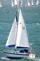 Westerly Discus 33 'Panda'