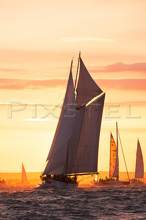 'Coral' at Sunrise