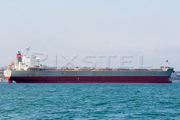 Bulk Carrier 'Vivace'