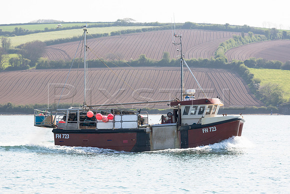Harvester II