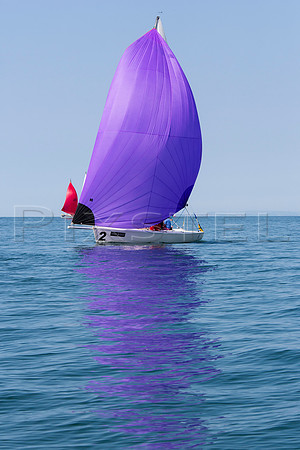 J/80 'Royal 2'