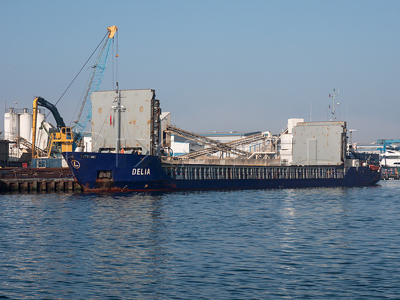 Cargo Ship 'Delia'