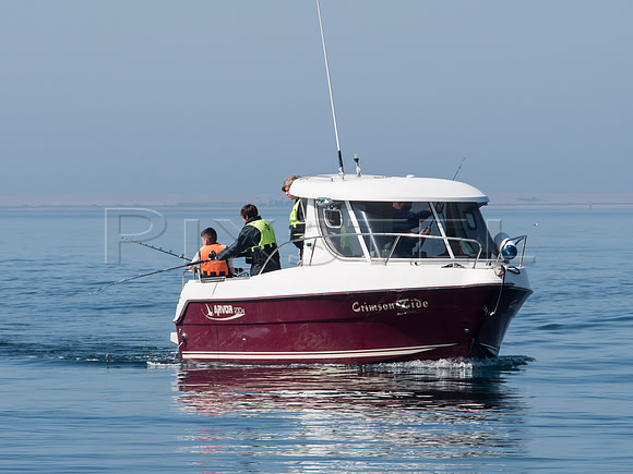 Arvor 230AS