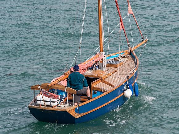Cornish Crabber 'Kallisto'
