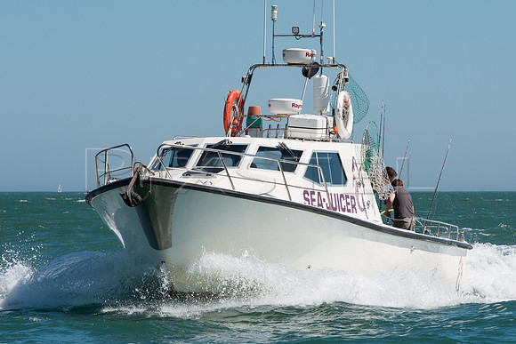 Sport Fisher 'Sea Juicer'