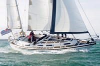 Countess 33 'Althorne'
