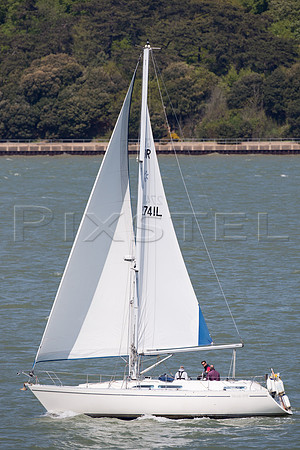 Moody 376 'Chantecleer'