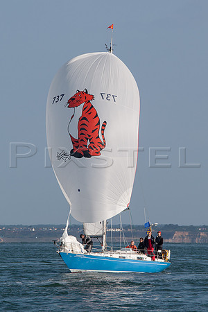Contessa 32 'Hungry Tiger'